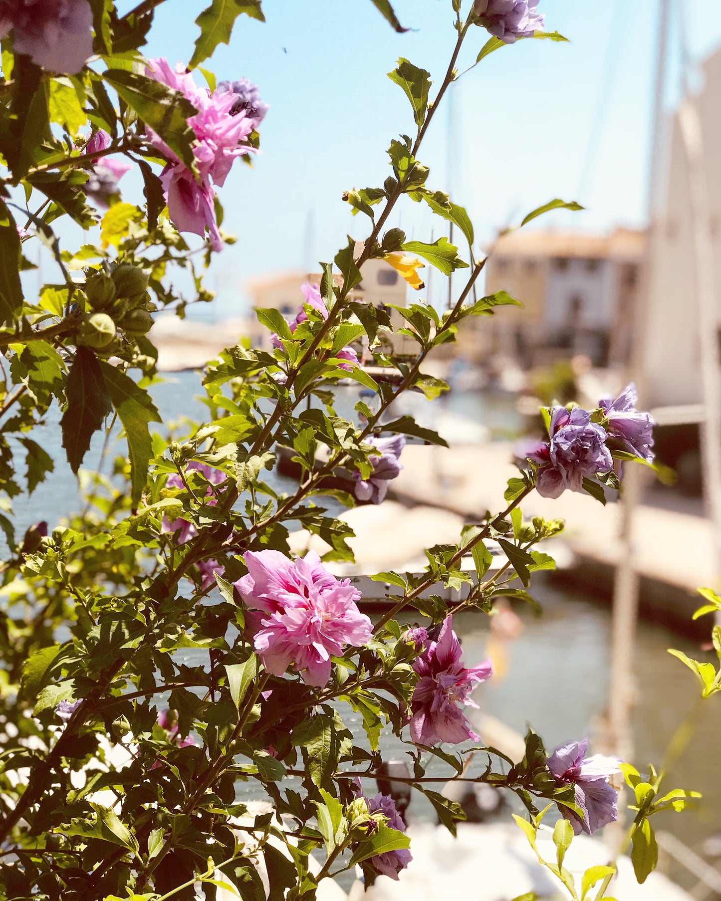 F242 Acrílico sobre tabla 27x31 cm