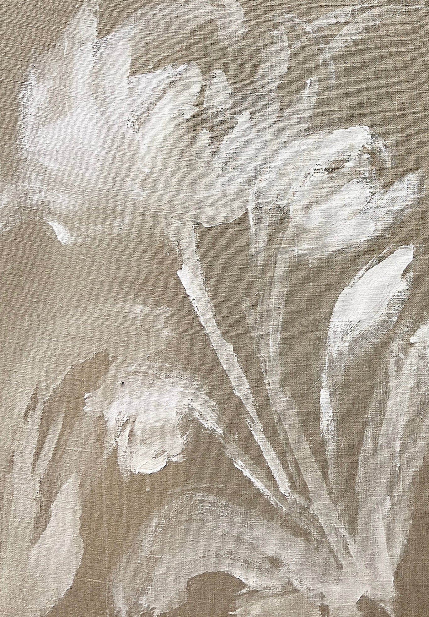 F287 Acrílico sobre lino 30x50 cm (x2)