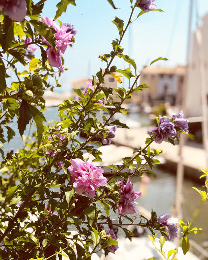 F242 Acrílico sobre tabla 27x31 cm